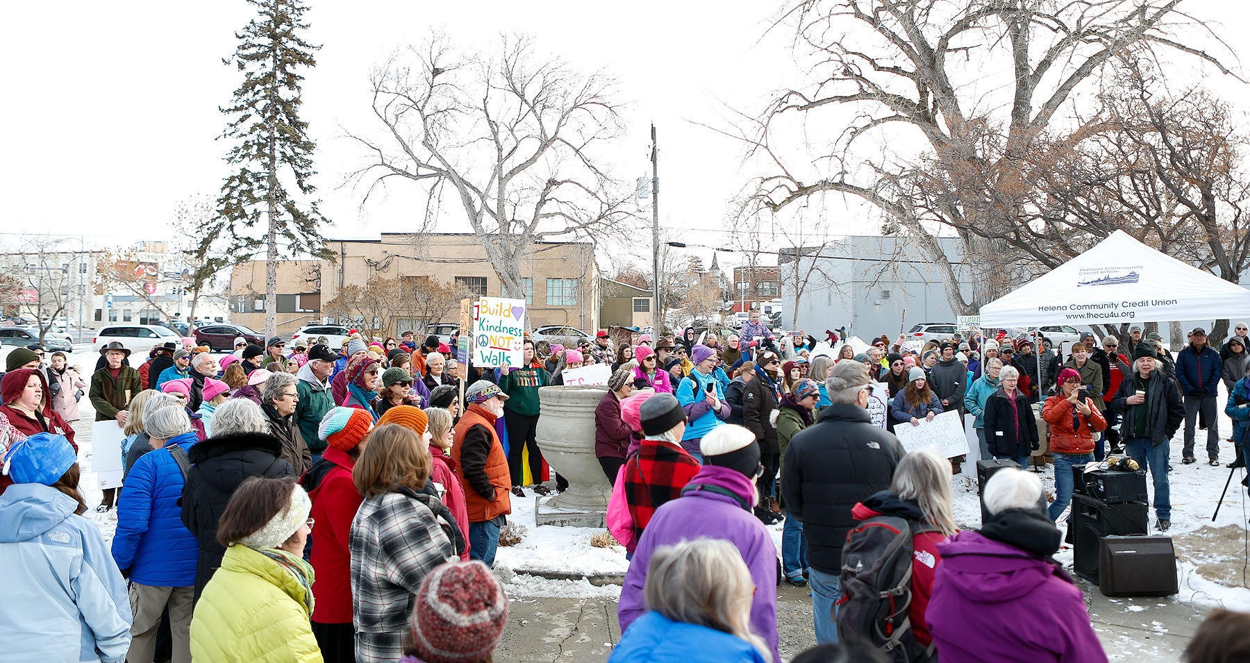 Helena Women's Rally for Democracy